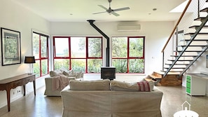 Televisión, chimenea, reproductor de DVD y libros