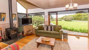 Télévision, cheminée, lecteur de DVD, livres