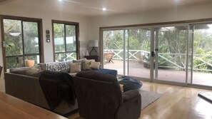 TV, fireplace, DVD player, books