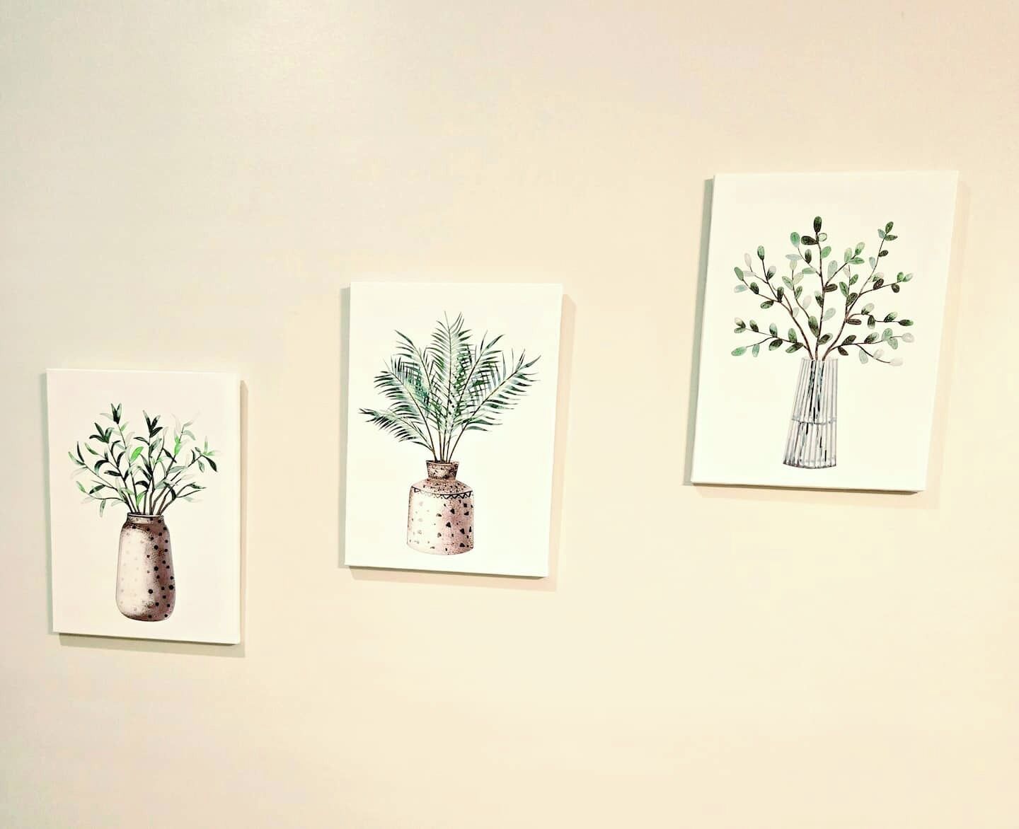 Drie ingekaderde botanische afbeeldingen aan een muur.