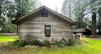 Stevens Ski Cottage - close to snow sports & river!