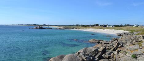 PĂȘche rĂ©crĂ©ative