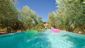 A clear swimming pool surrounded by trees, with inflatable toys visible. - Amazing home in Venelles (Venelles)