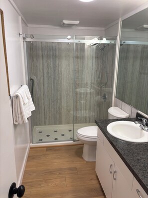 Shower, towels, soap, toilet paper