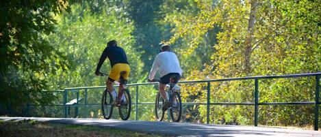 Dos ciclistas en un camino pavimentado con barandilla de metal, rodeados de árboles y follaje.