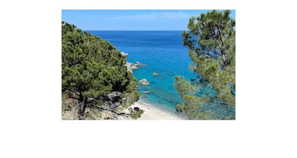 3 bedroom beautiful home in Falerna