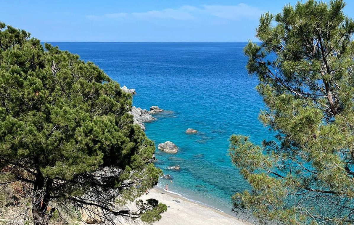 A coastal landscape with a clear view of the sea, rocky shoreline, and dense pine trees.