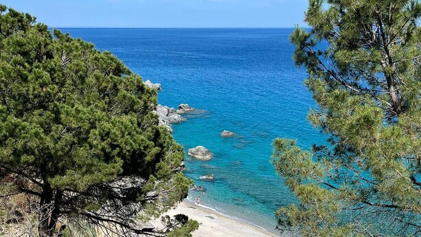 A coastal landscape with a clear view of the sea, rocky shoreline, and dense pine trees. - 3 bedroom beautiful home in Falerna (Falerna)