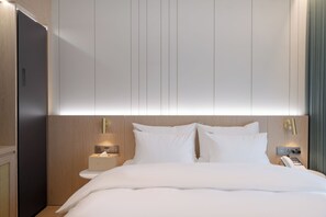 Business Double Room, 1 Double Bed, Non Smoking, City View | Blackout drapes, soundproofing, free WiFi, wheelchair access