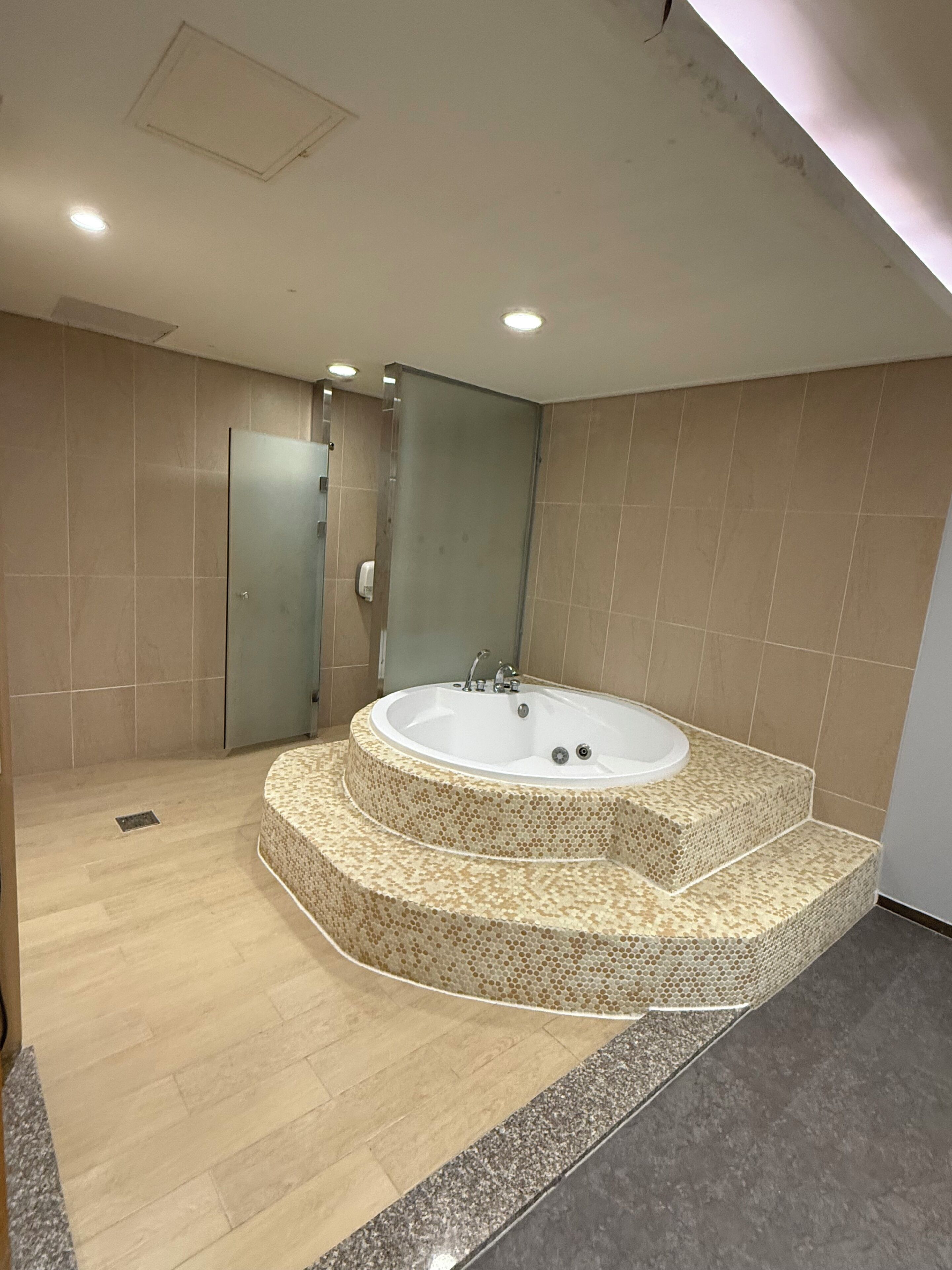 A modern bathroom with a freestanding bathtub, a shower area, and a toilet.