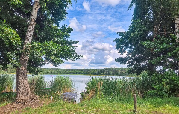 A lakeside view with trees and a clear sky.