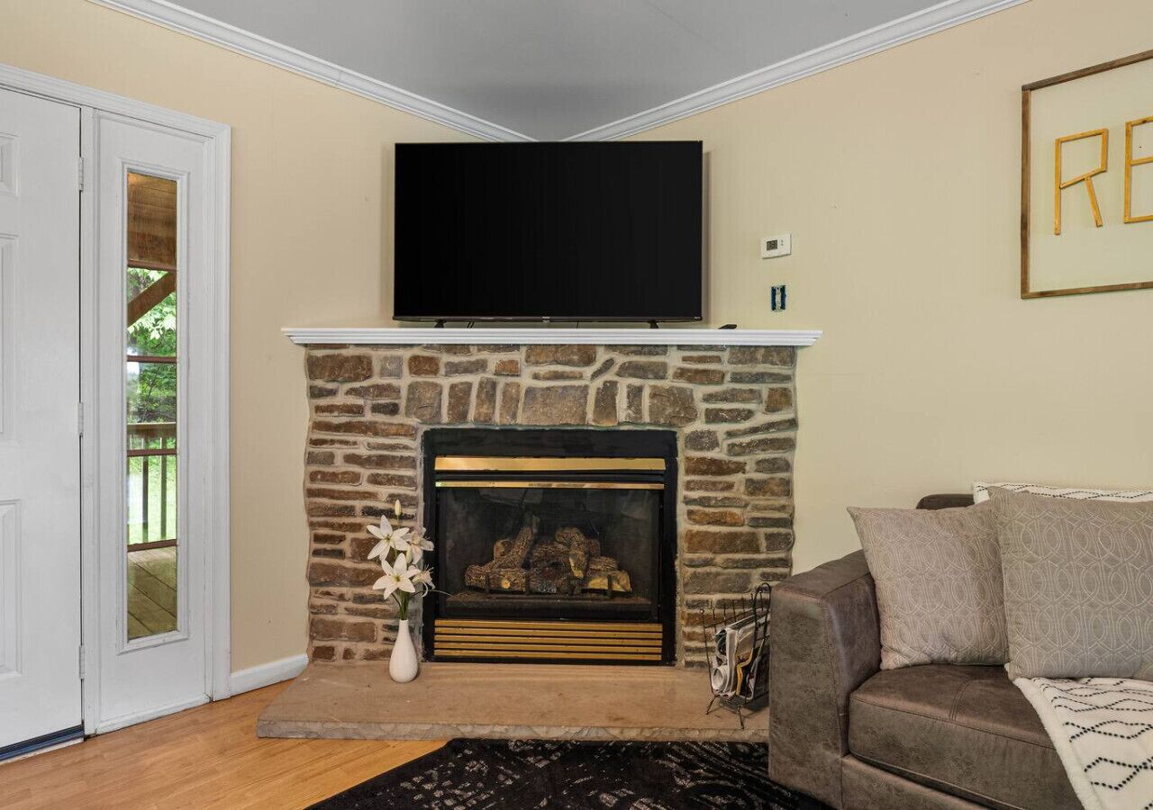 Smart TV, fireplace, books