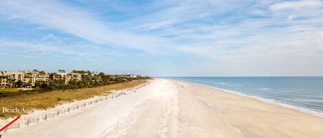 Playa en los alrededores