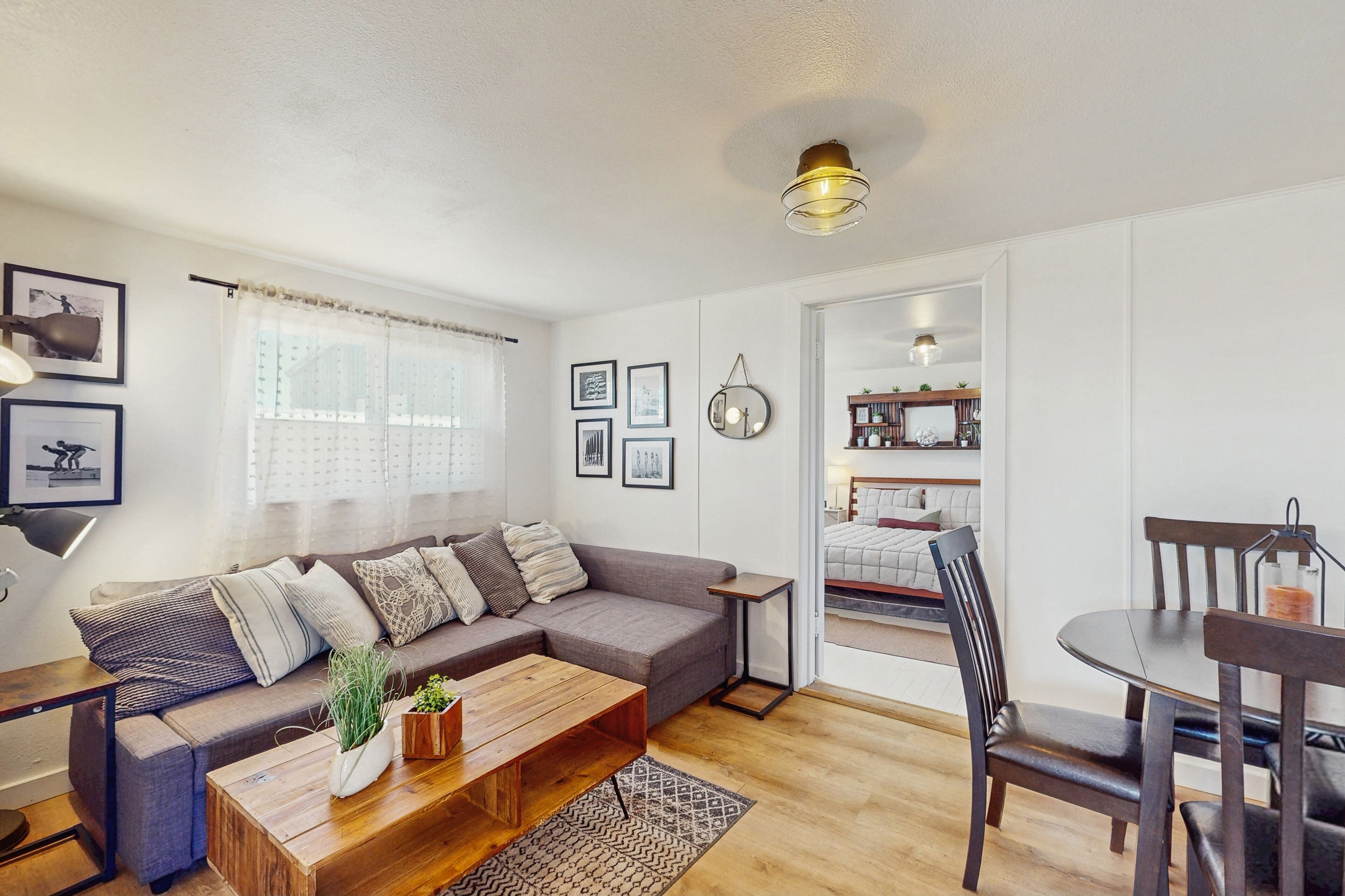 电视、DVD 播放器、影片库