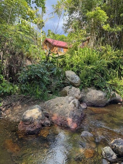 Stream-side Cottage, Driving Creek