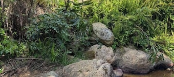 Stream-side Cottage, Driving Creek