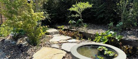 Àrea exterior de l'allotjament