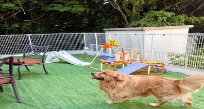 dog base angel / Takashima Shiga