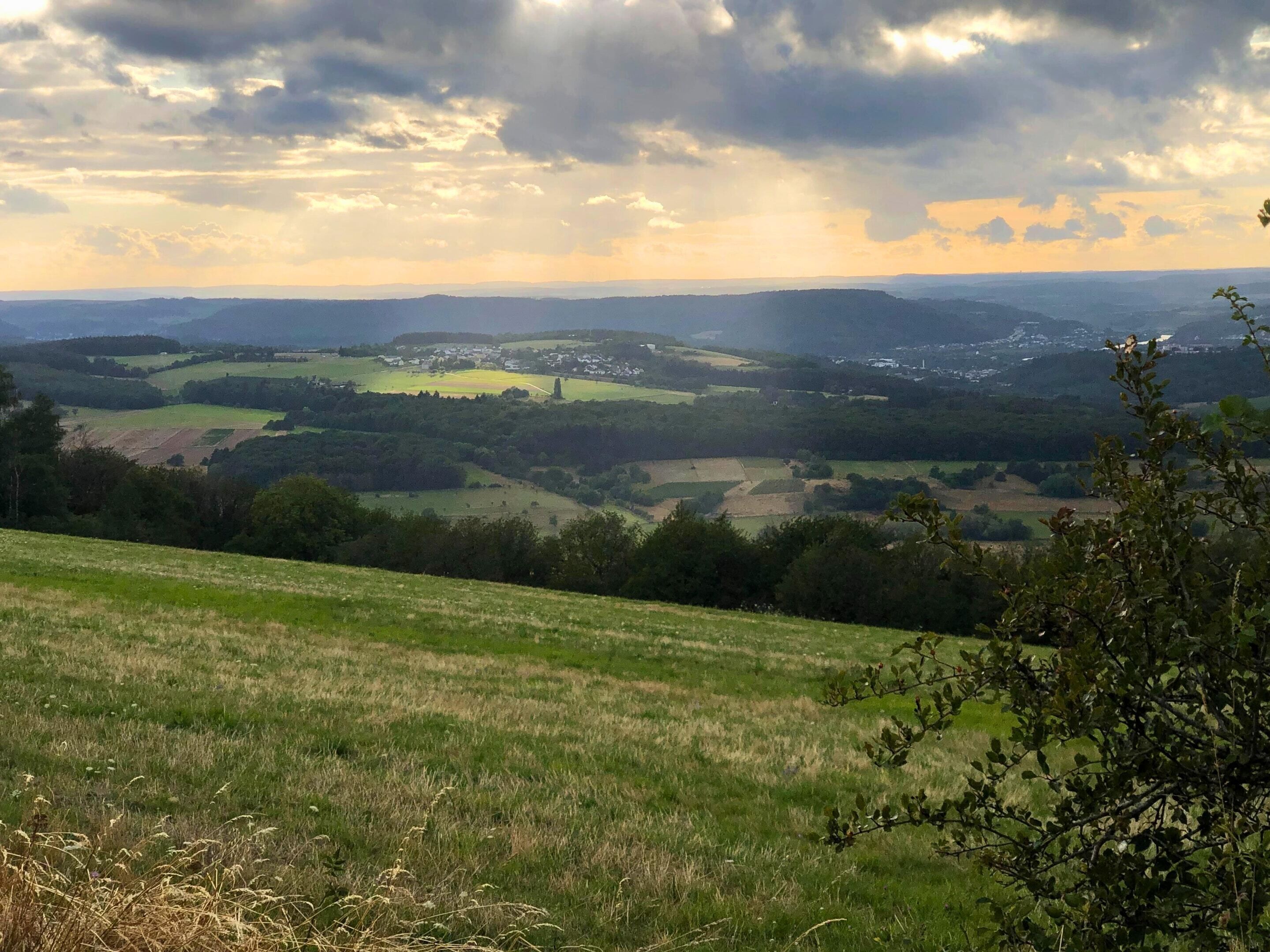 Vista panoramica di un paesaggio rurale con dolci colline, campi e alberi sparsi.