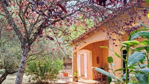 A rustic building with an arched doorway, a patio with outdoor furniture, and a tree with red leaves in the foreground. - Au coeur des ocres - Charming vacation home (Roussillon)