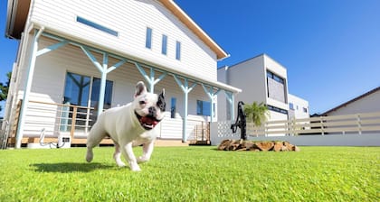 Up to 2 dogs allowed Take a stroll along the be / Karatsu Saga