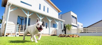 Up to 2 dogs allowed Take a stroll along the be / Karatsu Saga