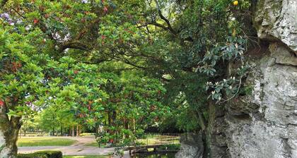 10 minutes walk from Tokushima Station | Quiet pri / Tokushima Tokushima