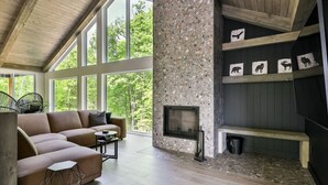 TV, fireplace - Le Chill Shack - Golf, Ski, SPA (Mont-Blanc)