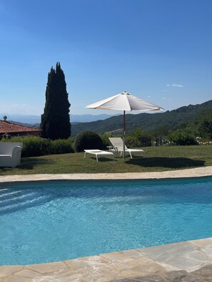 A swimming pool with a clear view of the surrounding landscape, including a tall tree and a hill in the background. - Luxury apartment with a view in Chianti Rufina (Caiano)