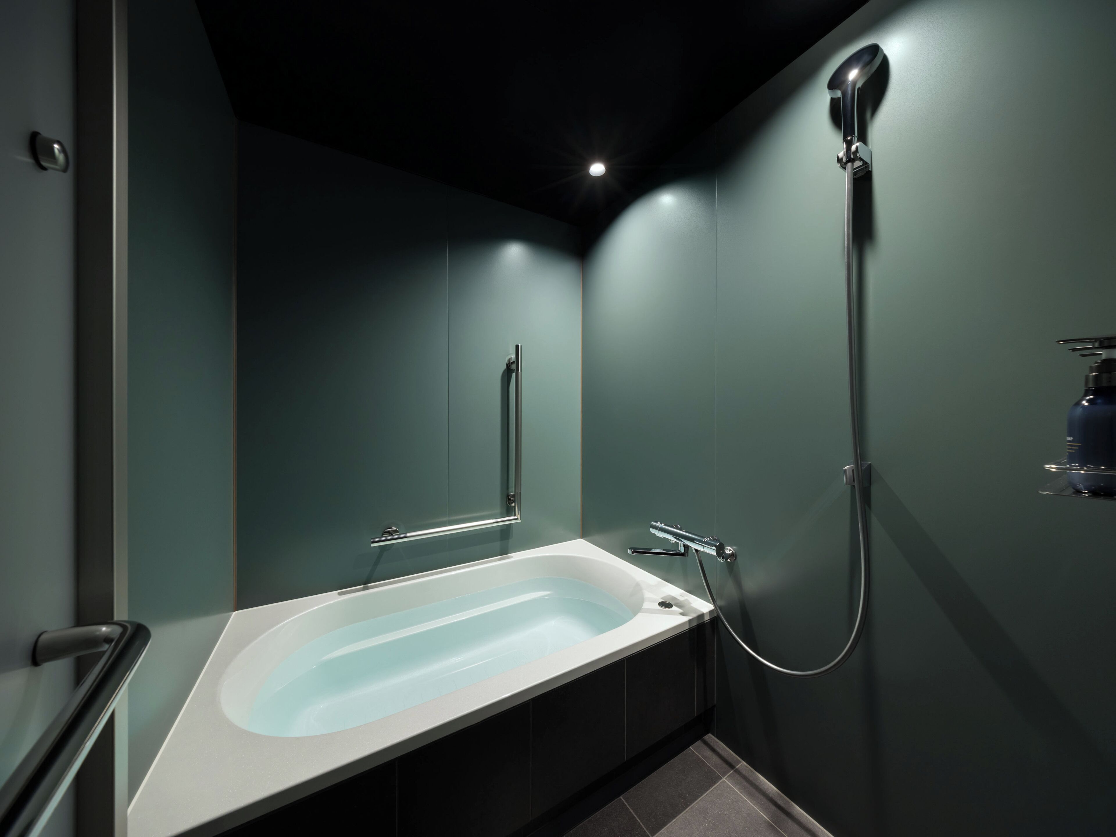 A modern bathroom with a freestanding bathtub, a handheld showerhead, and a wall-mounted faucet.