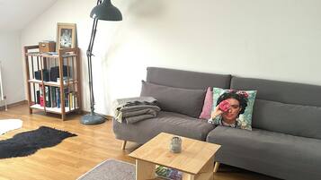 DVD-Player, Tischtennisplatte