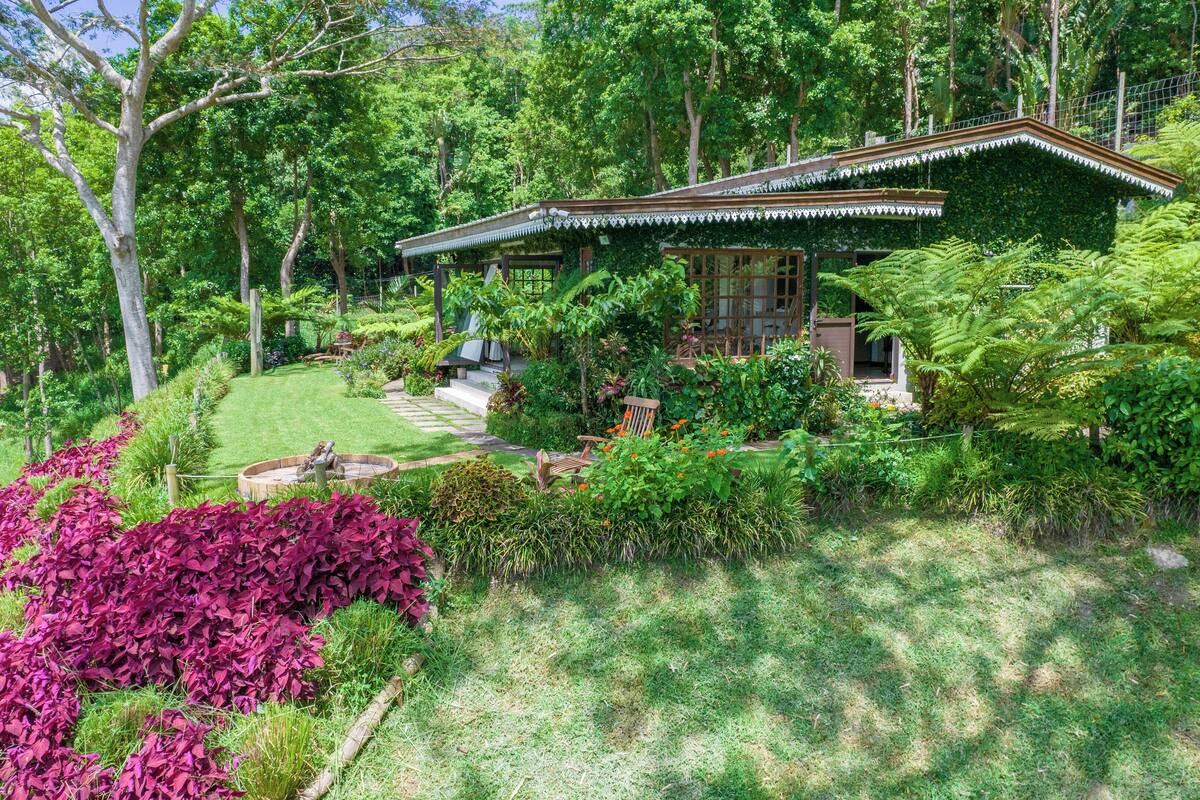 Tree Fern Cottage | WiFi (free)