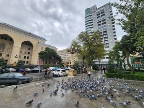 Parkplätze auf dem Gelände