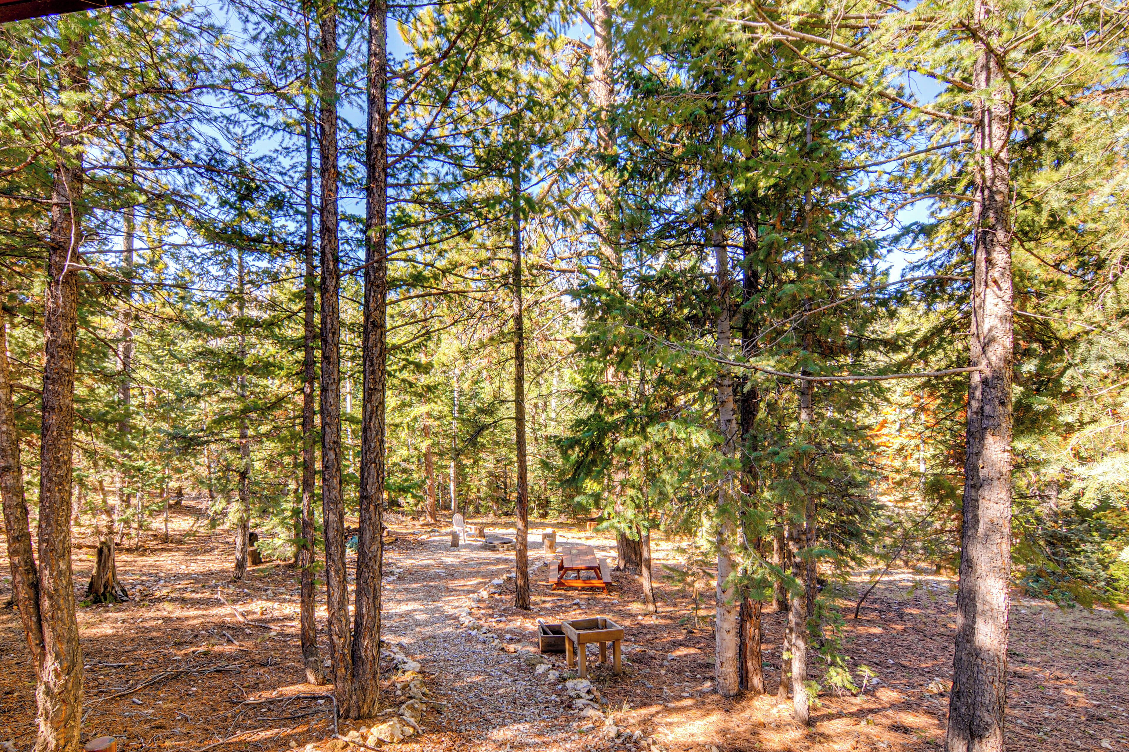 A forest campsite with a picnic table and benches.