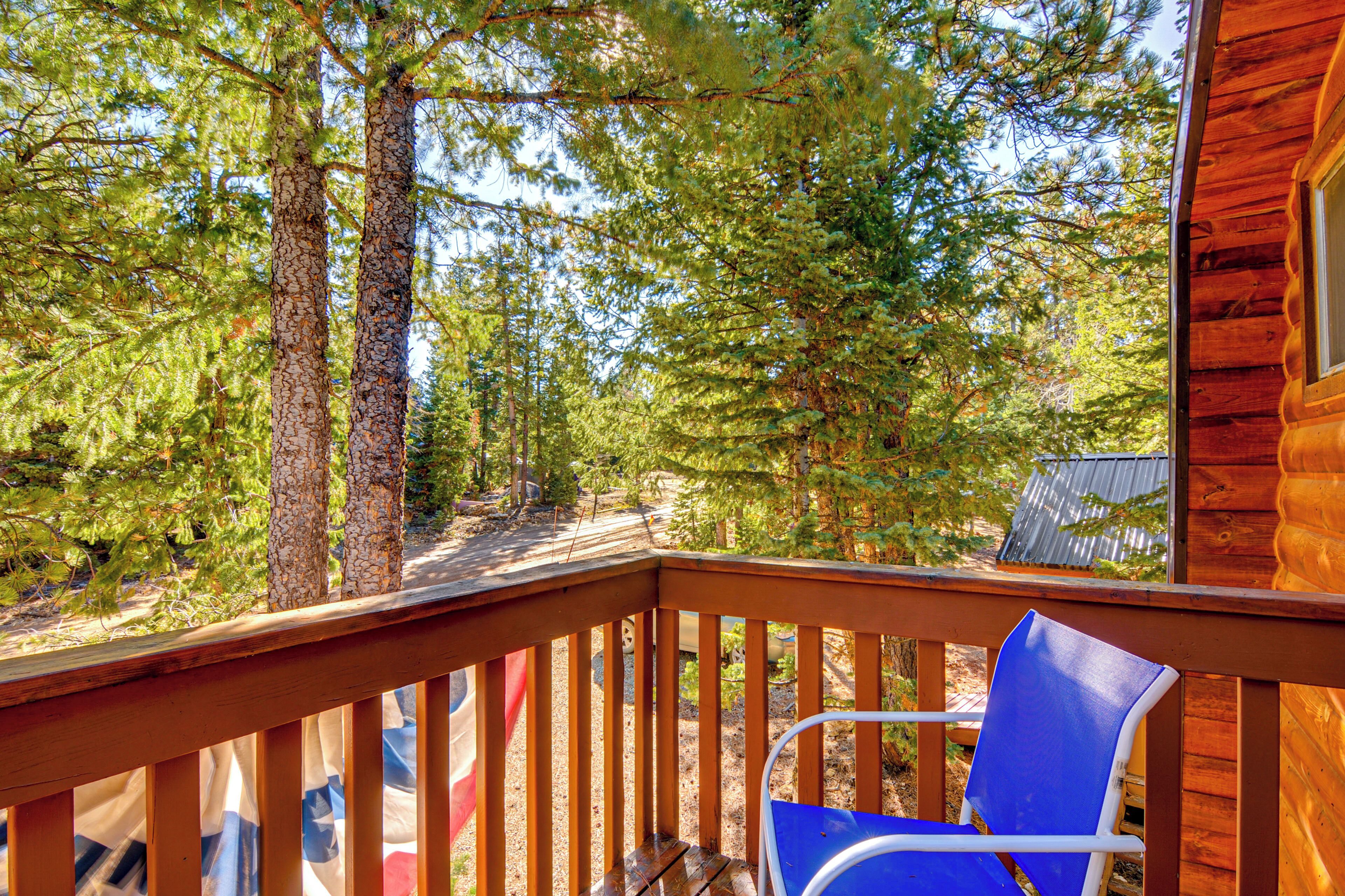 Eine Holzterrasse mit einem blauen Stuhl, umgeben von hohen Bäumen und einer Holzhütte.