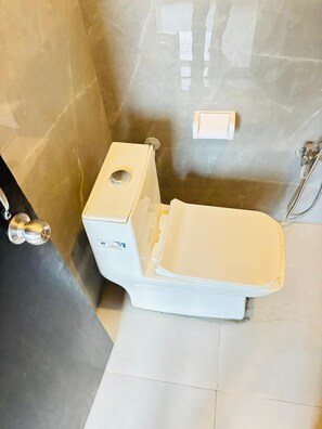 Shower, free toiletries, bidet, towels
