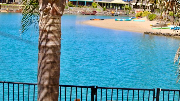 A view of a beach with a palm tree in the foreground, a sandy shore, and a body of water. - Lakeside Getaway - 4BR Jetty Wi-fi Waterfront (Encounter Bay)