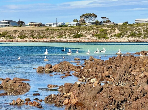 A coastal area with rocky shores, clear blue water, and several white buildings in the background.