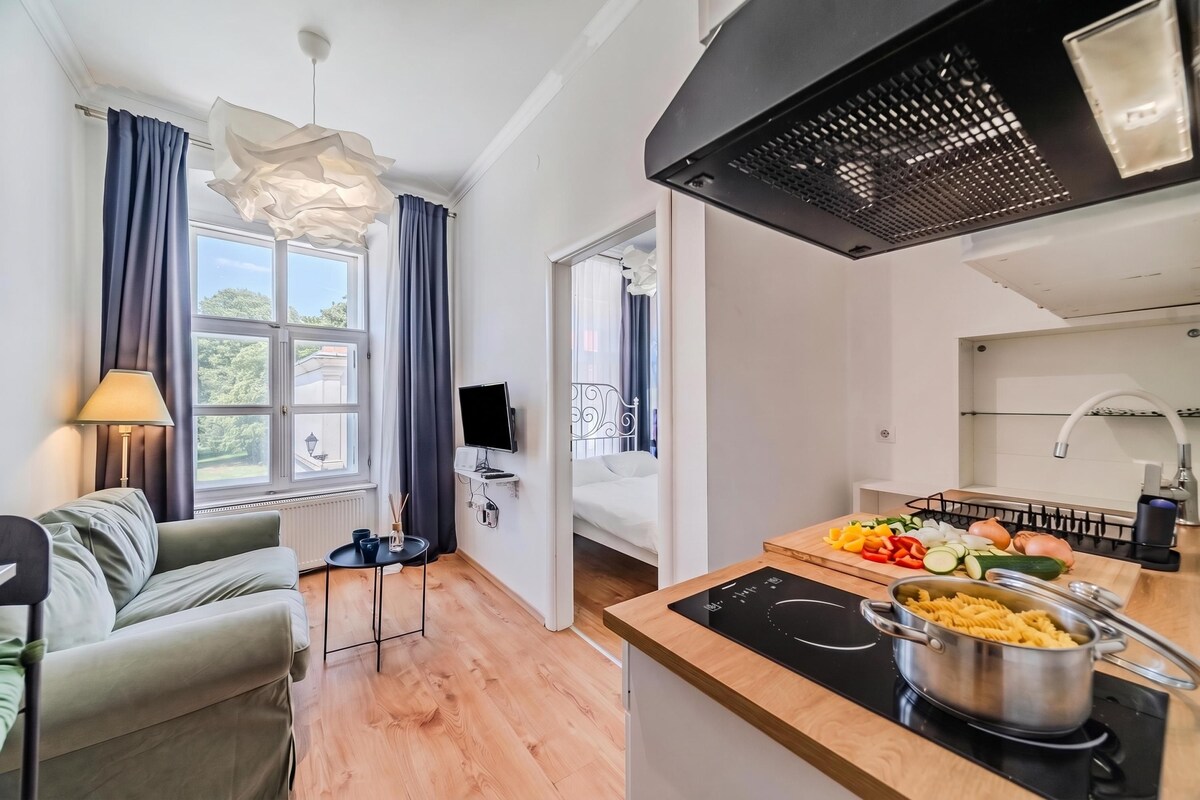 Familienapartment, 1 Schlafzimmer, Mikrowelle (Old Town Heritage Suite 2 in Osijek)