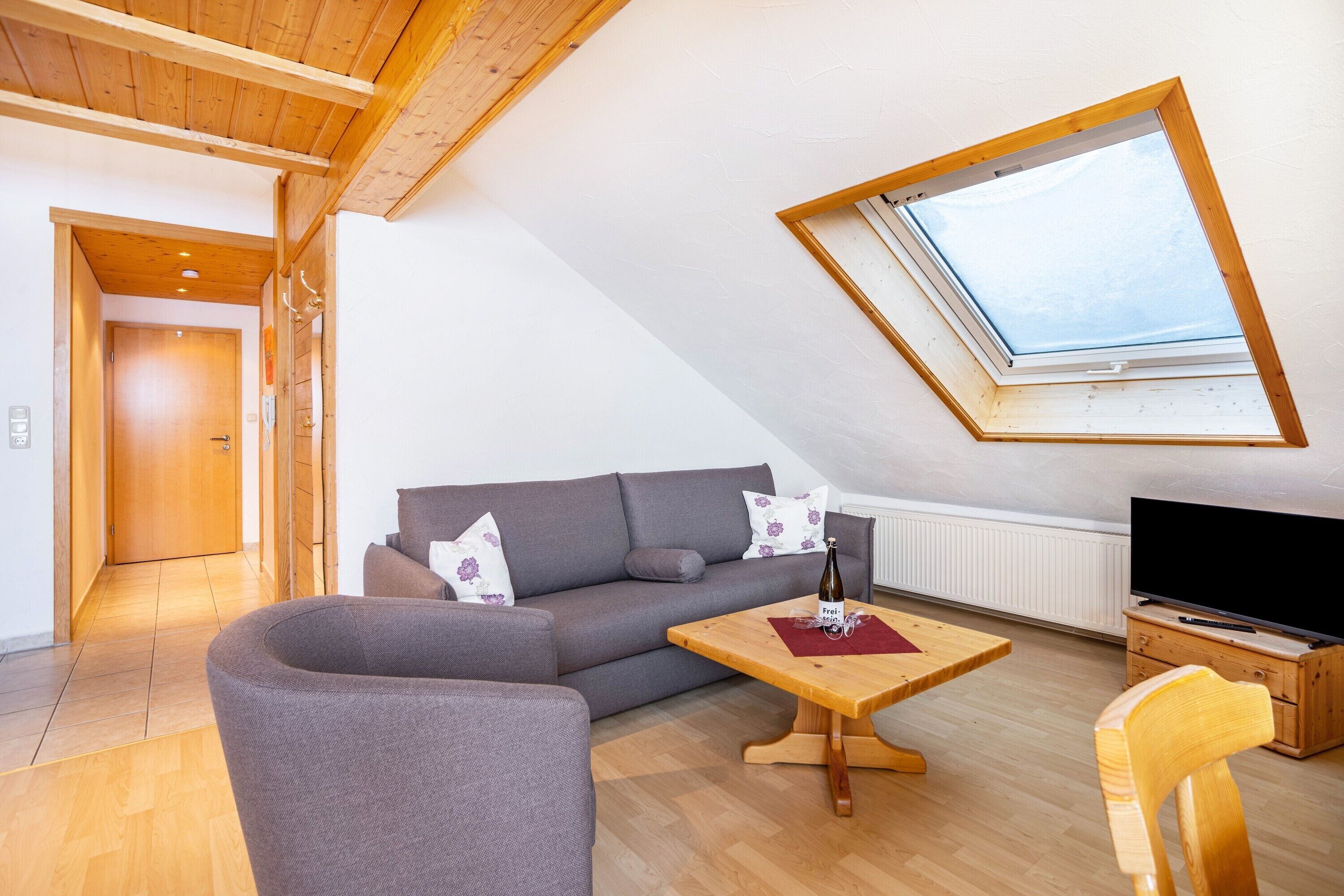 Fernseher, Tischtennisplatte