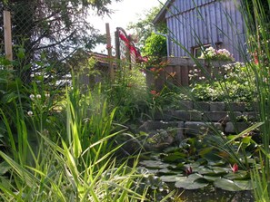 A garden with a pond, a wooden fence, and a rustic building.