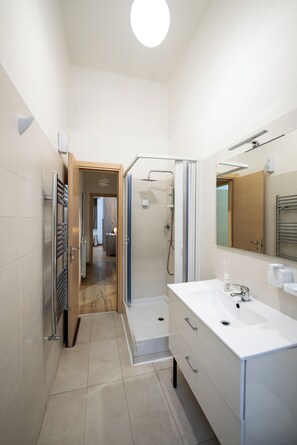 Shower, hair dryer, bidet, towels