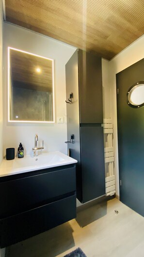 Shower, towels, toilet paper