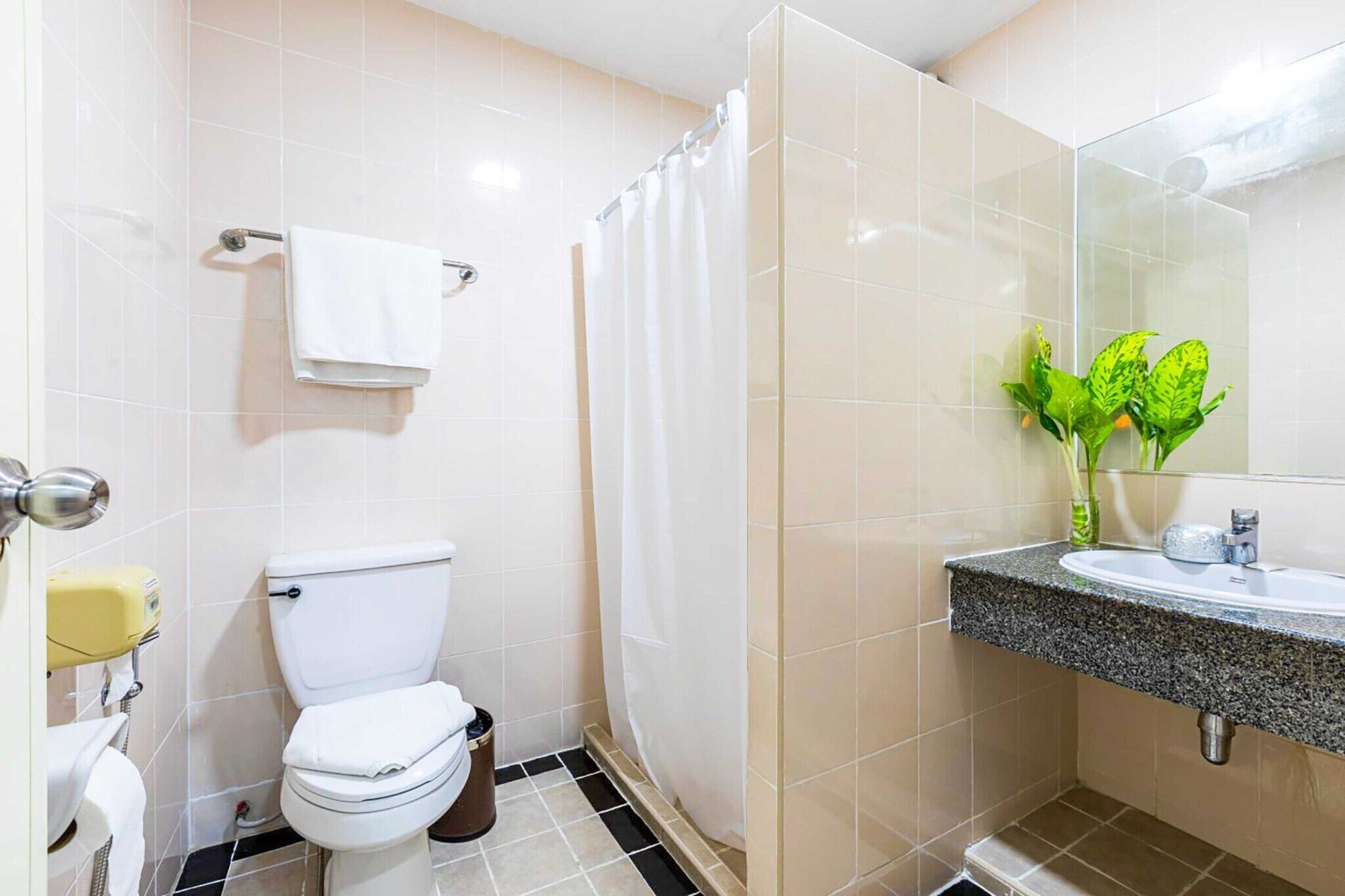 Shower, hair dryer, towels