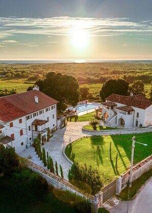Vineyard view