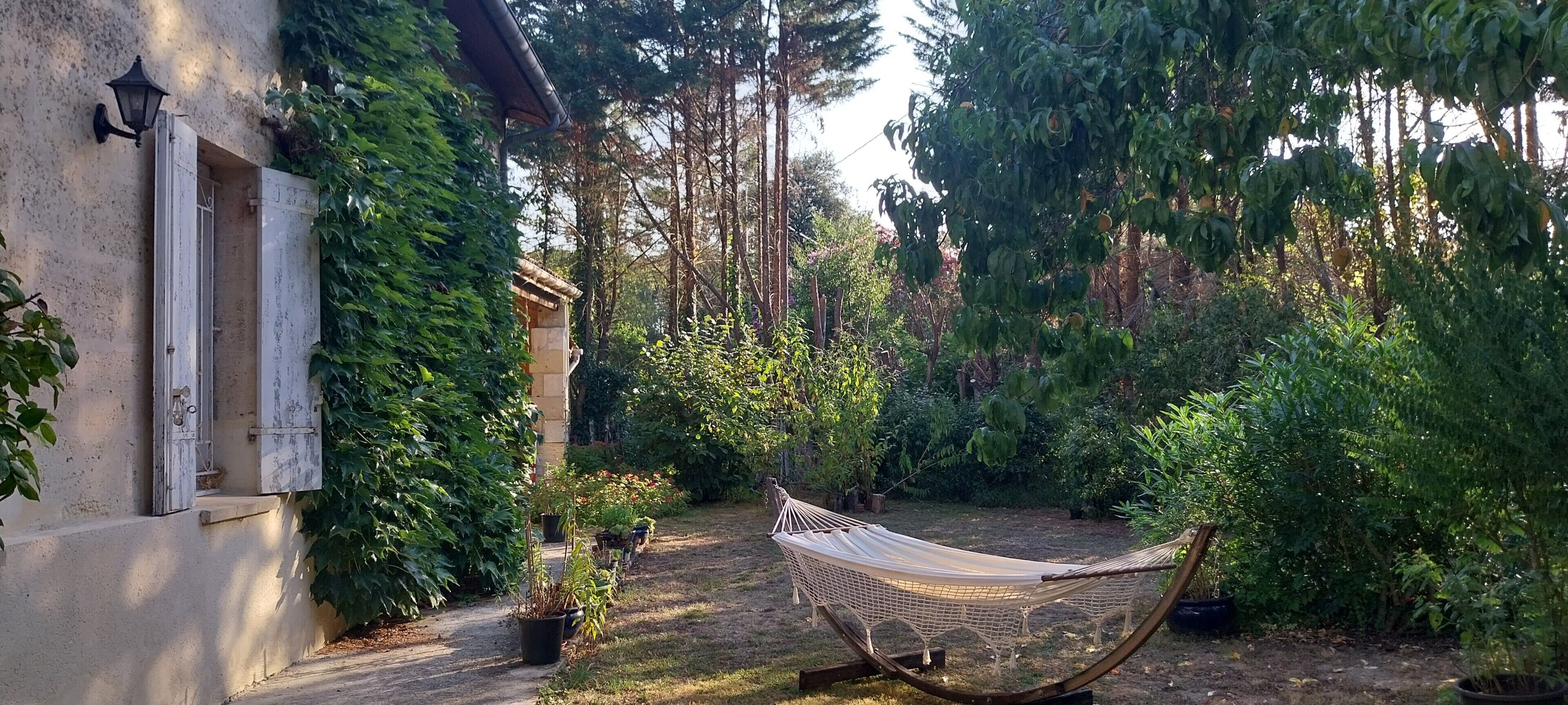 Terras