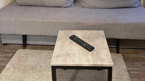 A grey sofa with two cushions and a small square table with a remote control on it. - Apartment in Trier With Parking (Trier)