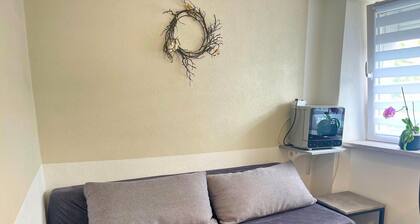 Apartment in Trier