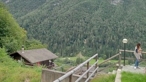 A rustic wooden cabin with a metal roof, surrounded by lush greenery and a mountainous backdrop. - New apartment in Val di Sole, close to ski slopes and bike trails (Trentino-Alto Adige)