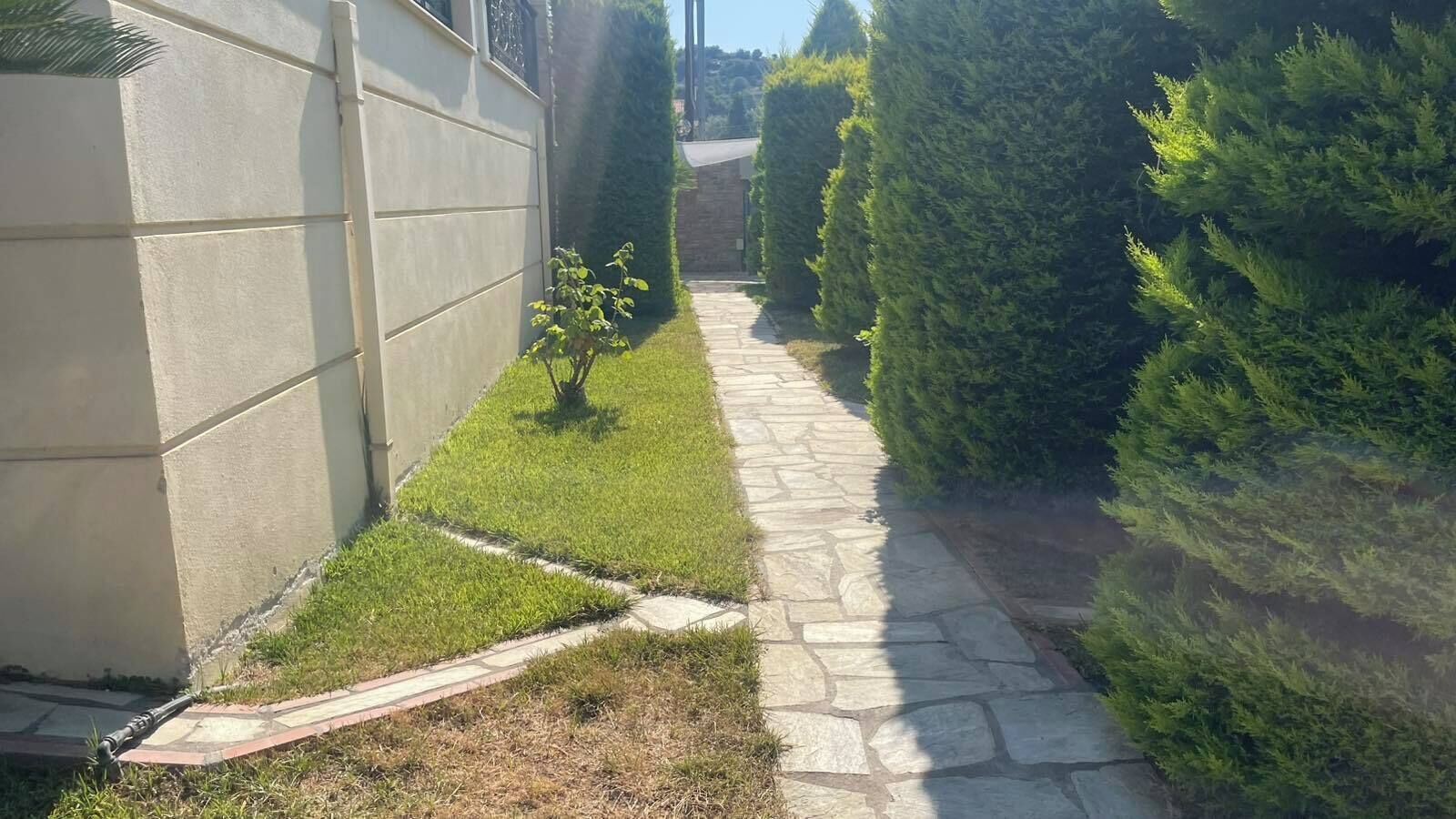Un étroit sentier de pierres, bordé de haies taillées et d’un petit arbuste.